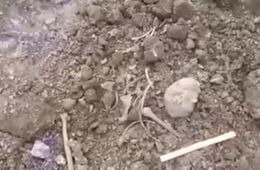 Останки древнего человека нашли на месте стройки в Сретенском районе