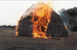 Житель Забайкалья получил 280 часов обязательных работ за лесной пожар с крупным ущербом