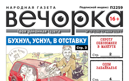 «Вечорка» № 29: Бухнул, уснул, в отставку