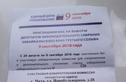 Читинку пригласили на прошлогодние выборы