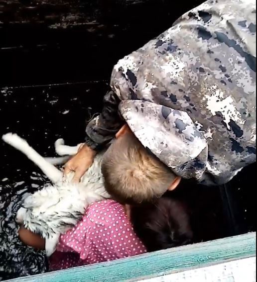 Собаке предложили водки – как в Забайкалье спасали тонущего пса