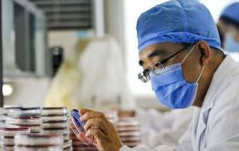 Краевая инфекционка призвала воздержаться от поездок в Китай из-за легочной чумы