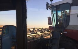 Забайкальские аграрии будут продавать комбикорм в Монголию