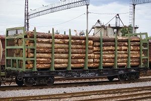 С начала года в Китай из России перевезено более 10 млн. тонн груза