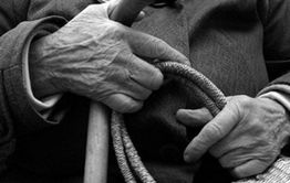  82-летняя читинка подозревается в краже телефона 