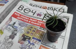 ​Подпишись на «Вечорку» по сниженной цене до конца мая