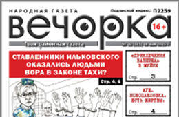 «Вечорка», № 20: в Шилке власти убивают рыбу, в Чите сити-менеджер уходит в отставку, а в Новопавловке — резня со смертельным исходом