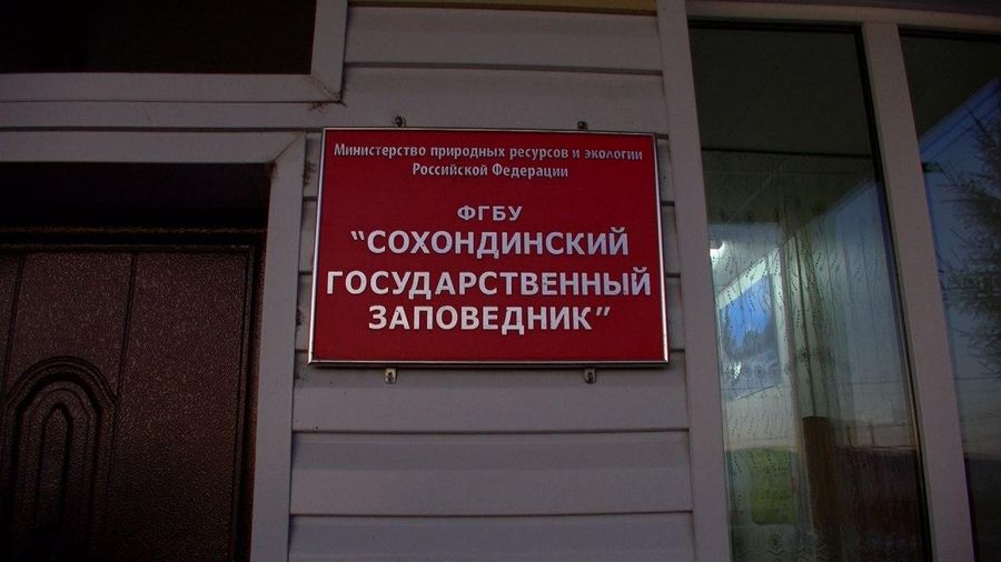Медведь напал на сотрудника Сохондинского заповедника в Кыринском районе