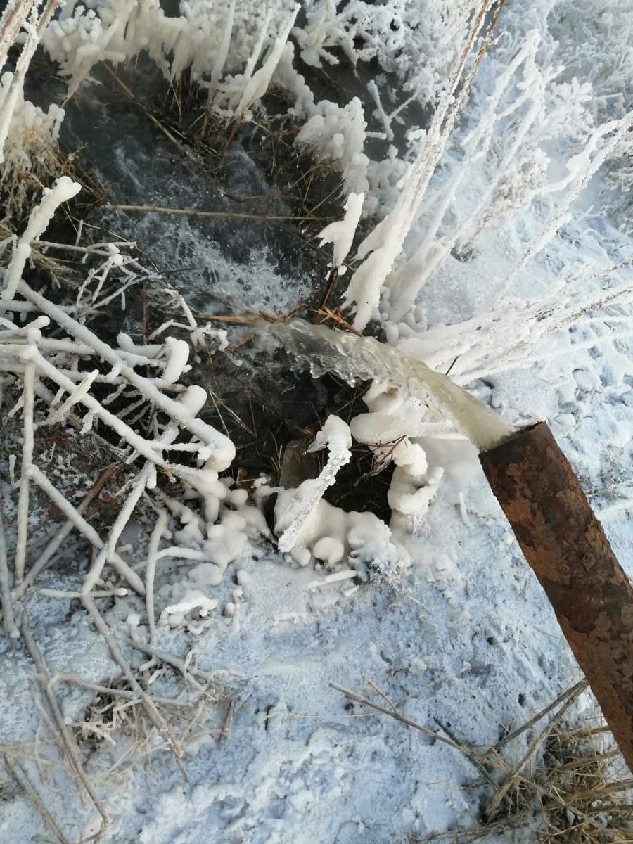 В селе Дунаево фекальные реки топят частный сектор