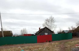 Жители поселка Наклонный в Чите пожаловались на своры собак