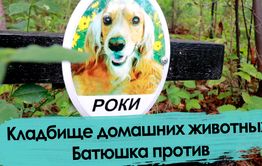 Кладбище домашних животных. Чита.