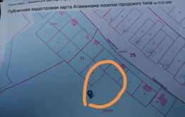 Атамановке опять угрожают лесорубы