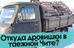 Жителям Сивяково не выписывают лесобилет на вырубку дров
