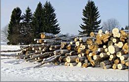 Семья в Бургени заняла оборону и препятствует полиции, которая намерена изъять у них древесину