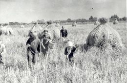 ​Дети войны: Стыдно, деревенские, плакаться