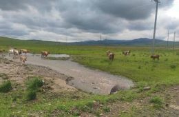 В Забайкалье подтоплена часть села