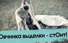 Овчинка выделки не стоит 