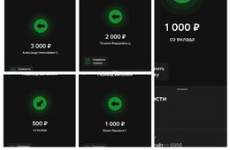 Уцелели благодаря антидрону. Отчет 