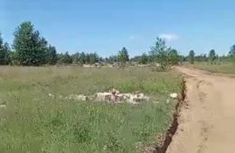 В Улетах появилась организованная свалка в зеленой зоне