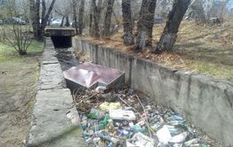 Природа бесценна