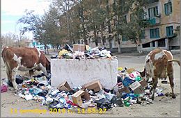 ООО «Багульник» в Ясной дерет с жителей в три шкуры за вывоз ТБО, но мусор не вывозит