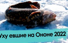Рыбалка в Забайкалье: улов есть!