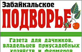 «Вечорка» открывает новую рубрику «Твое Забайкальское подворье»