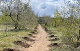 «Вечорка» засадит белоногими красавицами Читу (видео)