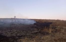В забайкальской степи почти год горят бараньи какашки