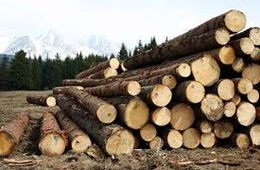 Дело гендиректора «Ксеньевского прииска»  может стать прецедентом