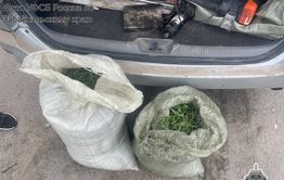 Забайкалец организовал канал поставок наркотиков в Читу