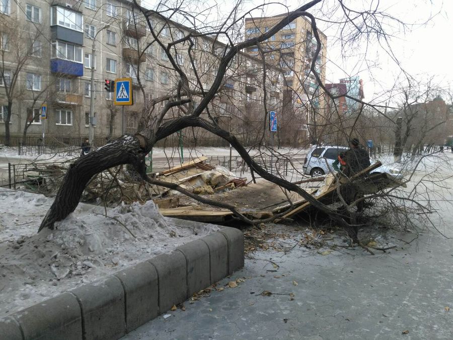 Читу начали украшать к наступающему году свиньи