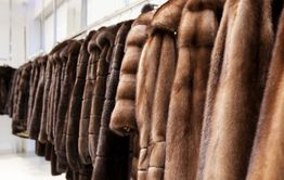 В Забайкалье мужчина украл 20 мутоновых шуб с выставки