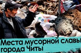 Мусор, бомж и крыса: что происходит на свалках Читы