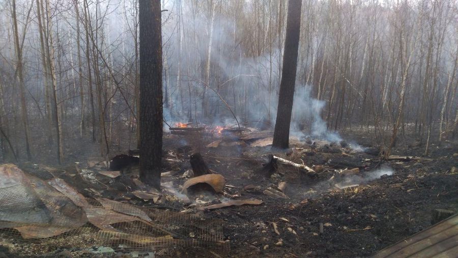 Пожар больше не угрожает Угдану — минприроды
