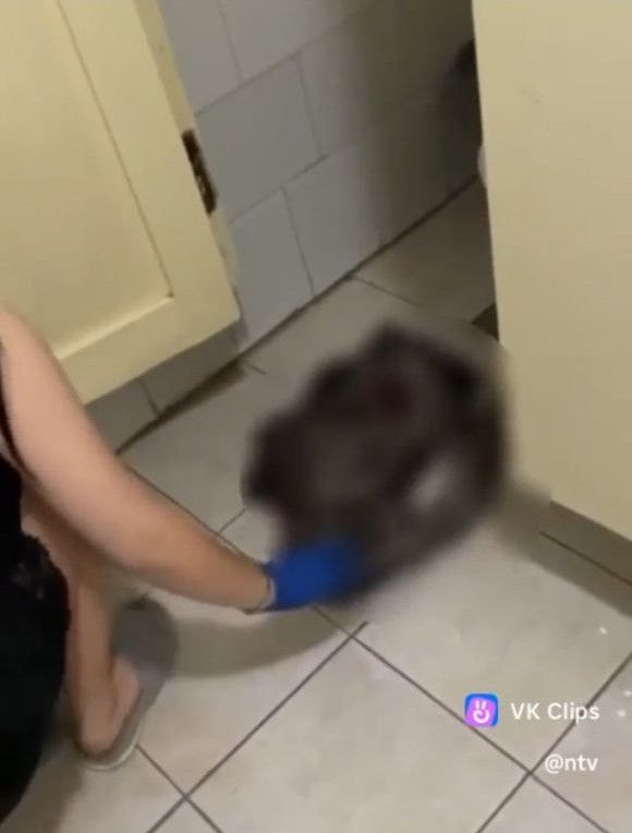 Девушка родила ребенка в общежитии в Агинском