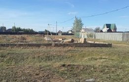 В Смоленке рубят здоровый лес под бараки для сирот