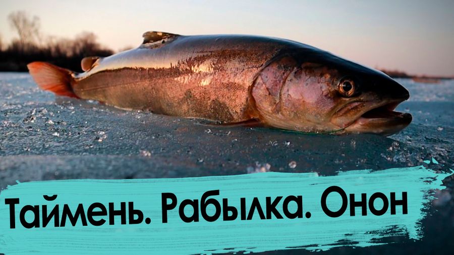 Рыбалка на Ононе: последний лед