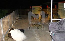 ​Одного из выживших во время расстрела в Горном перевезли в Читу, с трупами работают следователи