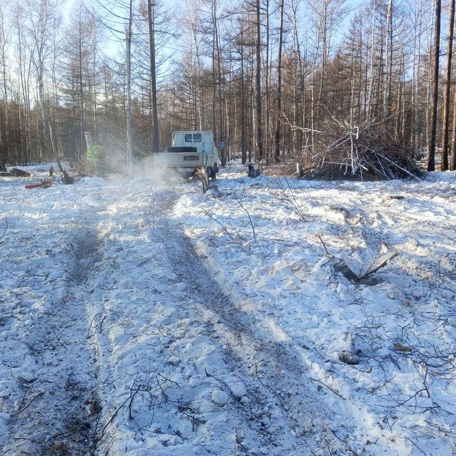 По дрова от первого лица