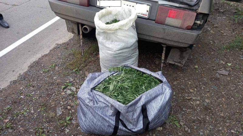 В Карымском районе мужчина перевозил в багажнике более 5 кг марихуаны
