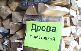 На борьбу с незаконными заготовителями древесины правительство Забайкалья пустит патрули