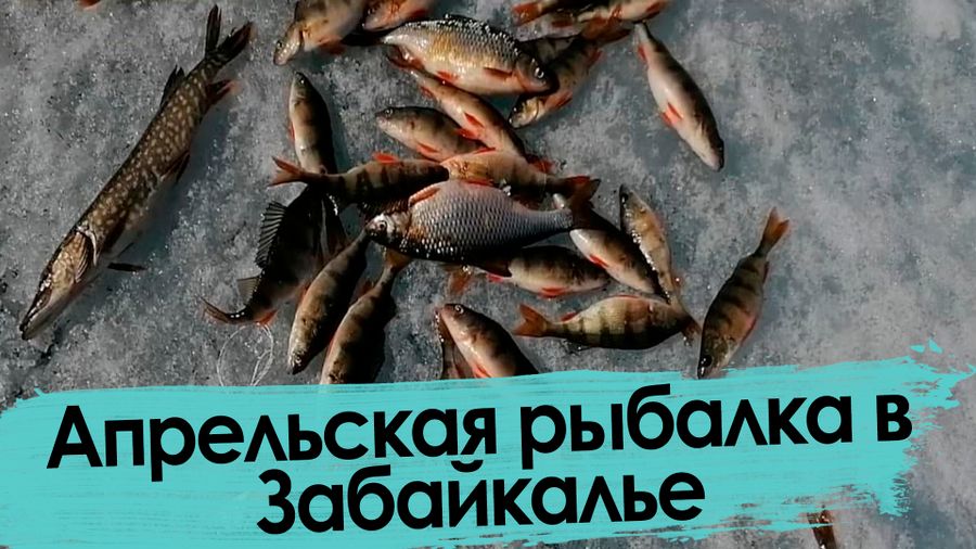 За лупами арахлейских озер