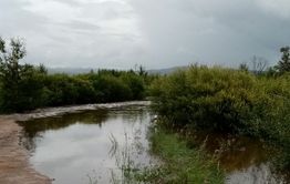 Уровень рек Чита и Ингода вновь поднялся