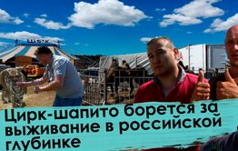 Цирк-шапито «Звездный» остается в Чите. В Новосибирск едет только дрессировщик с тиграми.