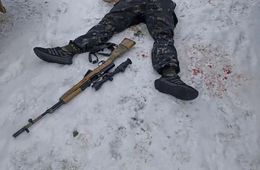 Убийство в заказнике