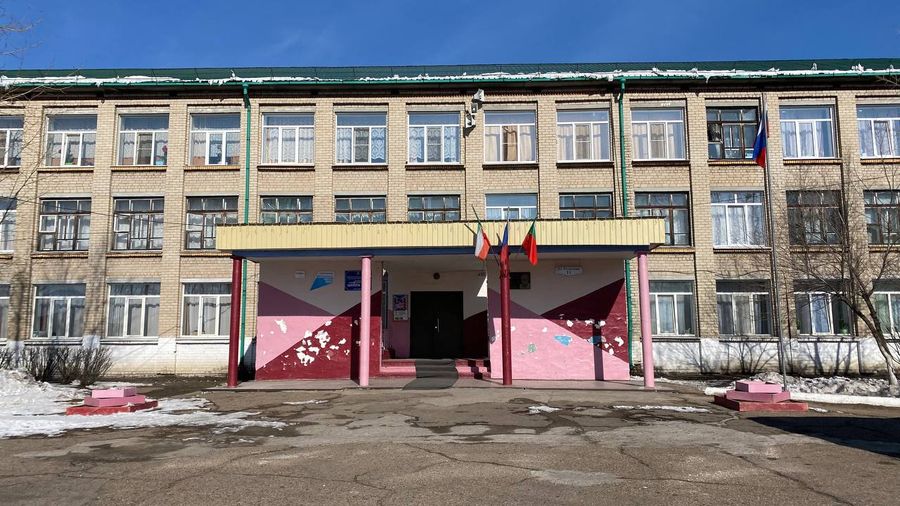 Стая собак напала на восьмиклассниц возле школы в Чите