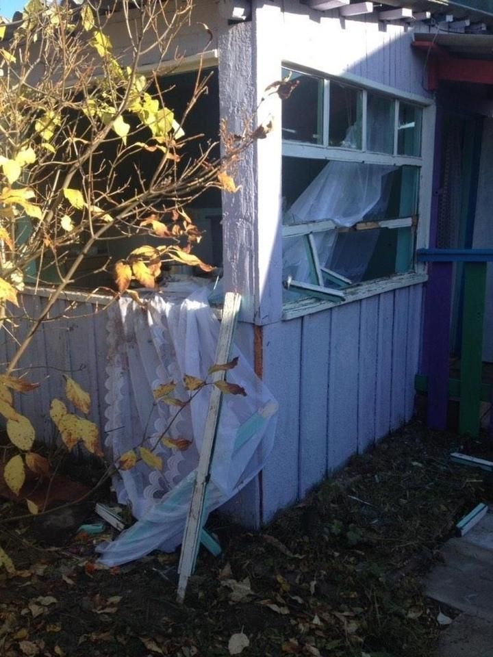 Медведи выходят к людям
