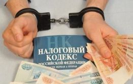 Бывший директор ООО обвиняется в уклонении от уплаты налога на 50 миллионов