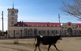 Правительство РФ надеется сделать Забайкальск и Краснокаменск «точками роста» туризма